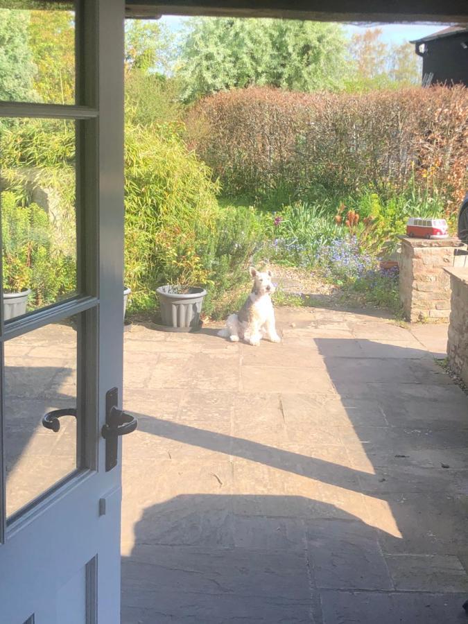 The Annexe At Walnut Tree Cottage Hope under Dinmore 외부 사진